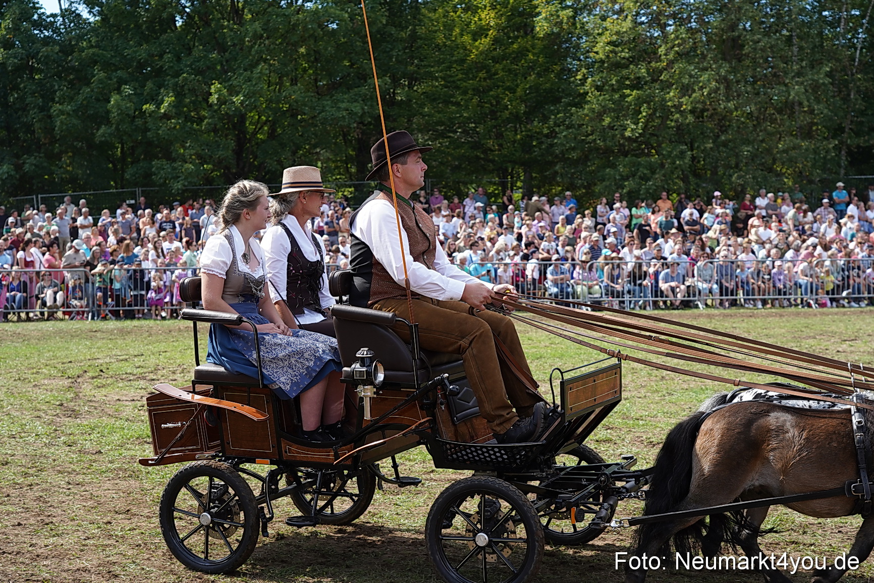 Pferde und Fohlenschau 2022 0292 